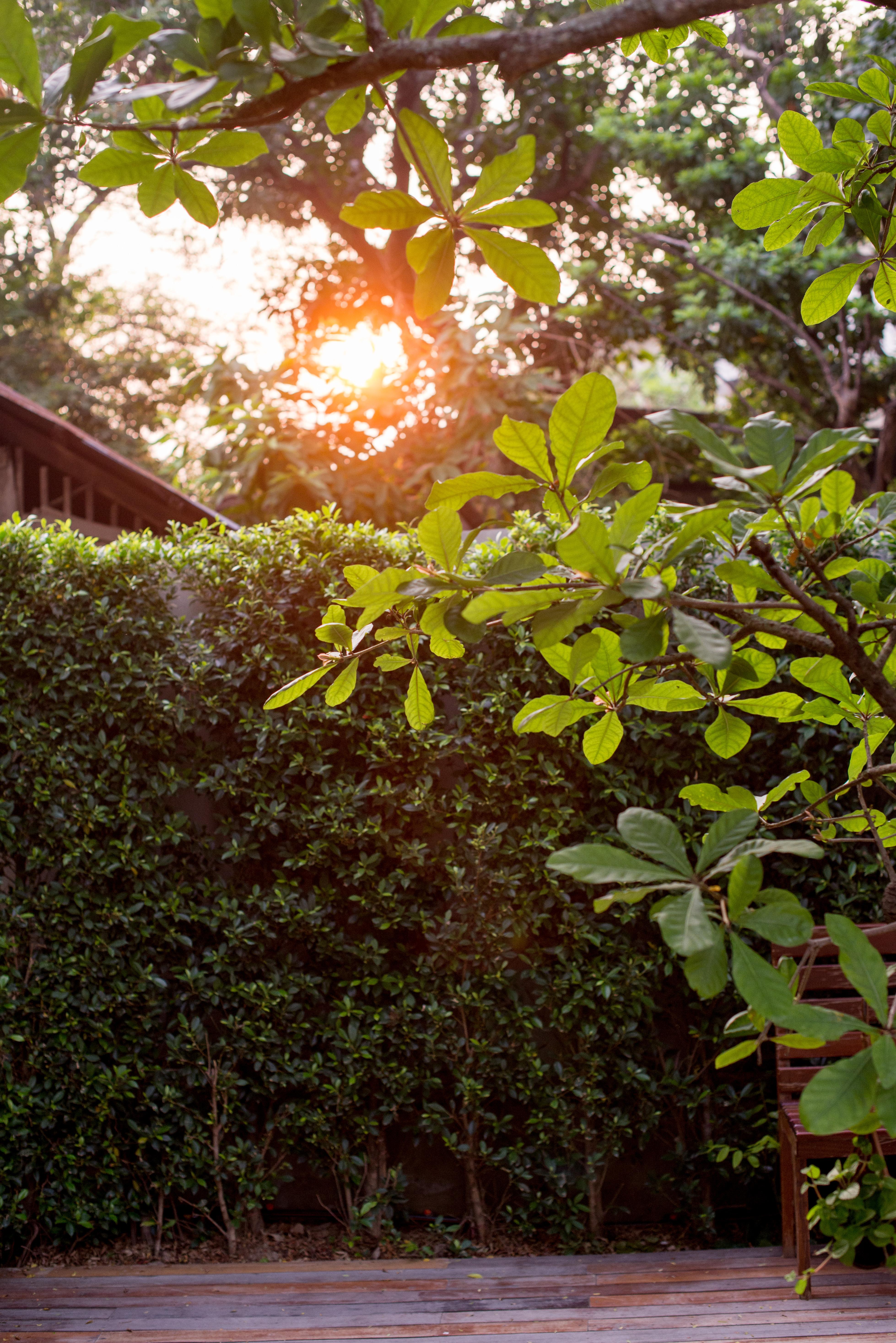 Chu Hotel Chiang Mai Exterior photo